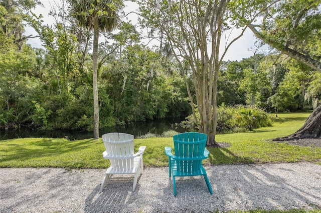 5332 Riverwalk Preserve Dr, New Port Richey, FL 34653 - photo 55
