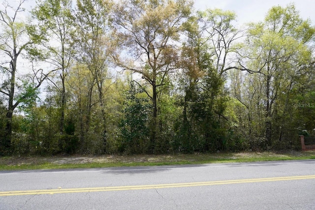 4150 SW State Road 247, Lake City, FL 32024