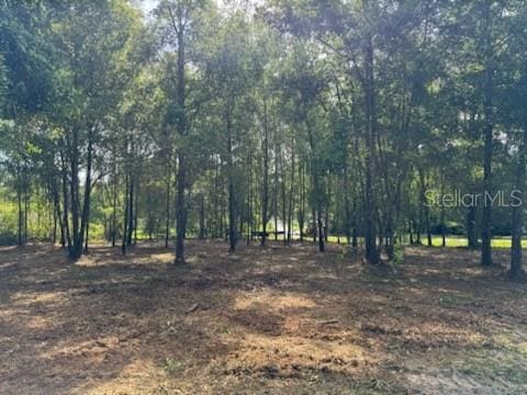 4150 SW State Road 247, Lake City, FL 32024 - photo 2