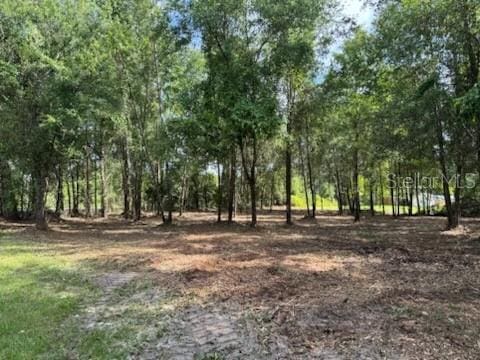4150 SW State Road 247, Lake City, FL 32024 - photo 3