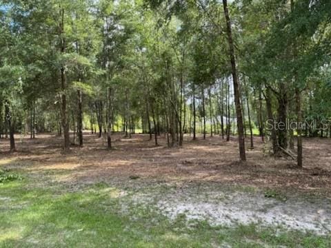 4150 SW State Road 247, Lake City, FL 32024 - photo 4