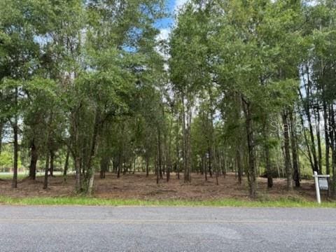 4150 SW State Road 247, Lake City, FL 32024 - photo 5