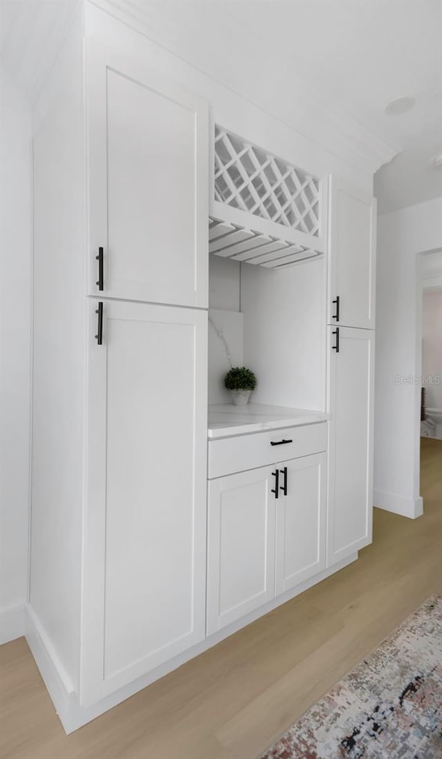 6508 Senegal Palm Way, Apollo Beach, FL 33572 - detailed view of wood finished floors and baseboards