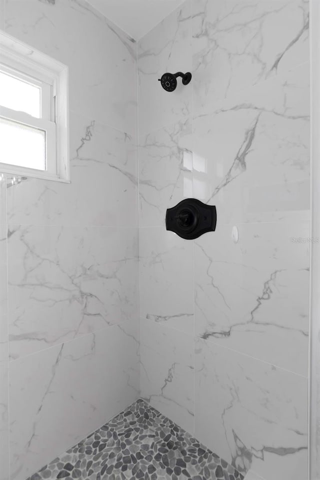 6508 Senegal Palm Way, Apollo Beach, FL 33572 - bathroom with a marble finish shower