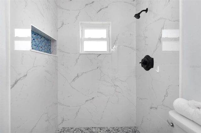 6508 Senegal Palm Way, Apollo Beach, FL 33572 - full bath featuring a marble finish shower and toilet