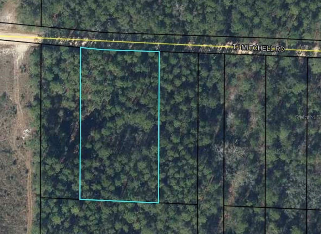 0 T J Mitchell Rd, Bonifay, FL 32425
