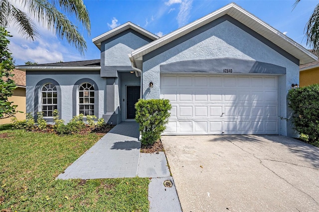 12510 Sparkleberry Rd, Tampa, FL 33626 - photo 4