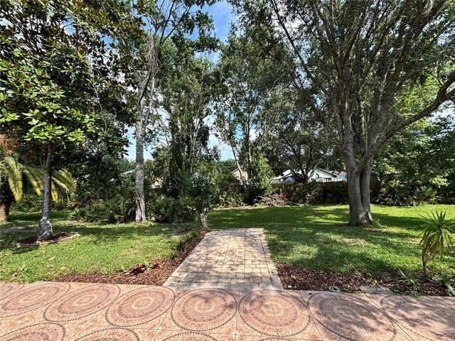 12510 Sparkleberry Rd, Tampa, FL 33626 - photo 28
