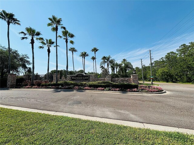 12510 Sparkleberry Rd, Tampa, FL 33626 - photo 29
