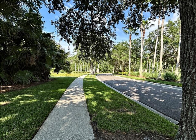 12510 Sparkleberry Rd, Tampa, FL 33626 - photo 30