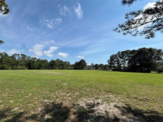 12510 Sparkleberry Rd, Tampa, FL 33626 - photo 32