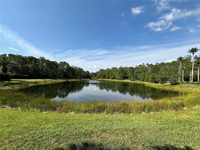 12510 Sparkleberry Rd, Tampa, FL 33626 - photo 34