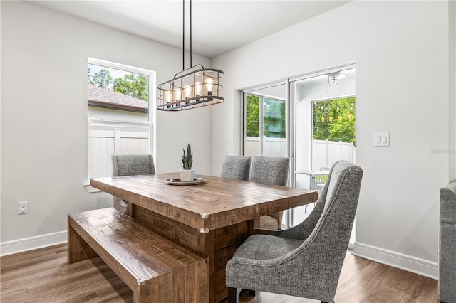 30273 Marquette Ave, Wesley Chapel, FL 33545 - dining room featuring baseboards, healthy amount of natural light, a chandelier, and wood finished floors
