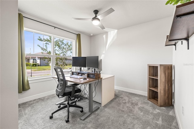 30273 Marquette Ave, Wesley Chapel, FL 33545 - carpeted office space featuring baseboards and a ceiling fan