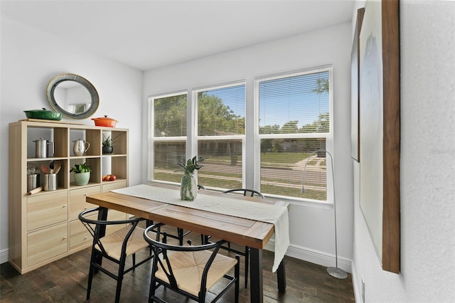 2911 N Jefferson St, Tampa, FL 33602 - dining area featuring plenty of natural light, dark wood-style floors, and baseboards