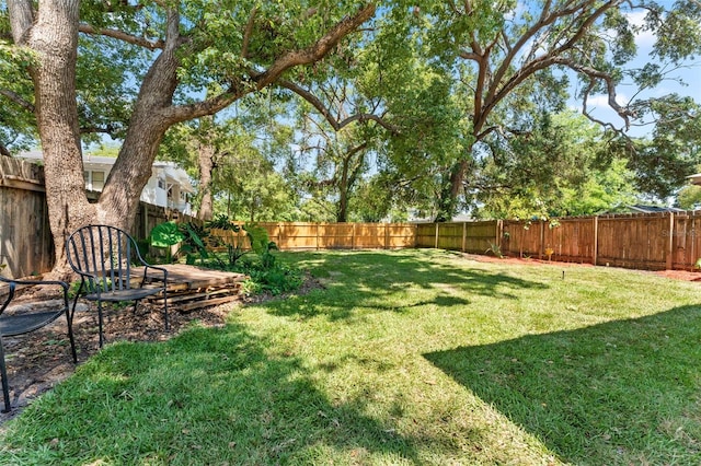 2911 N Jefferson St, Tampa, FL 33602 - view of yard