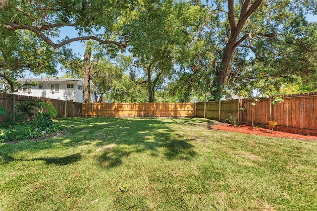 2911 N Jefferson St, Tampa, FL 33602 - view of yard