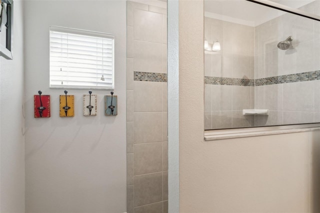 6555 Sparkling Way, Wesley Chapel, FL 33545 - bathroom with a tile shower