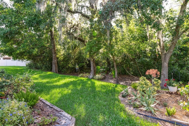 6555 Sparkling Way, Wesley Chapel, FL 33545 - view of grassy yard