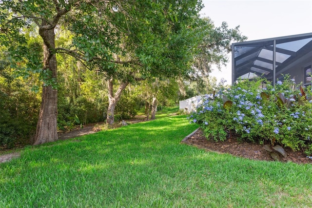 6555 Sparkling Way, Wesley Chapel, FL 33545 - view of grassy yard with glass enclosure