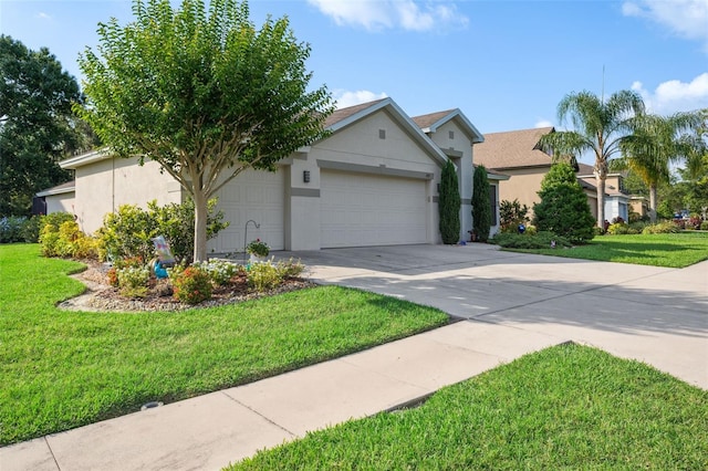 6555 Sparkling Way, Wesley Chapel, FL 33545 - ranch-style home with driveway, a garage, stucco siding, and a front lawn