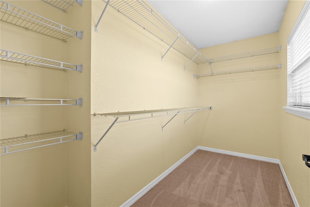 9780 Allen Rd, Lithia, FL 33547 - spacious closet featuring carpet floors
