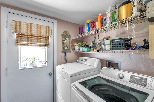 11974 Rosetree Pl S, Seminole, FL 33772 - photo 17