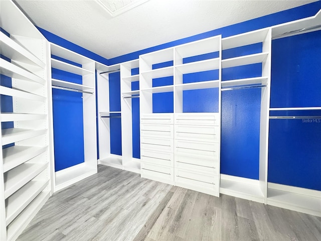 spacious closet featuring wood finished floors