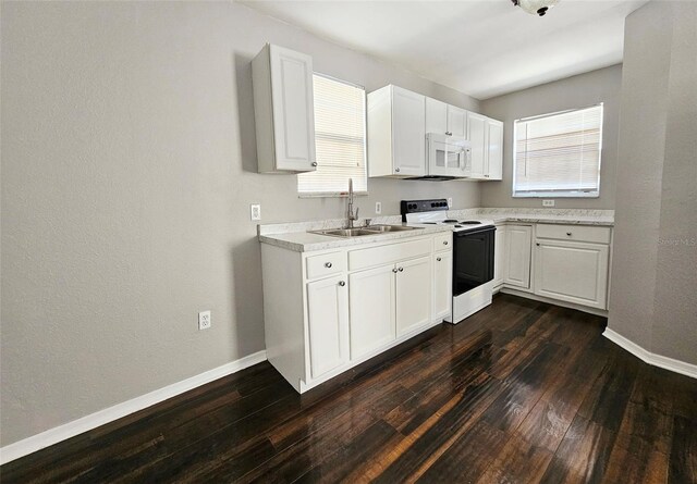 3615 W Cherry St, Tampa, FL 33607 - photo 5