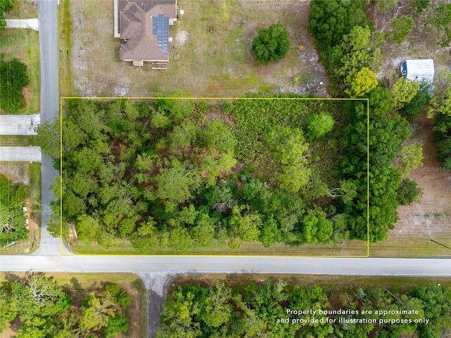 Pine Lands Dr, Wesley Chapel, FL 33544 - photo 2