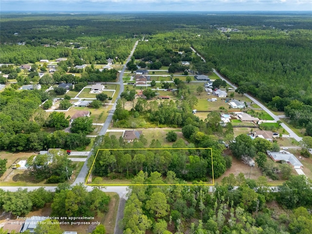 Pine Lands Dr, Wesley Chapel, FL 33544 - photo 4
