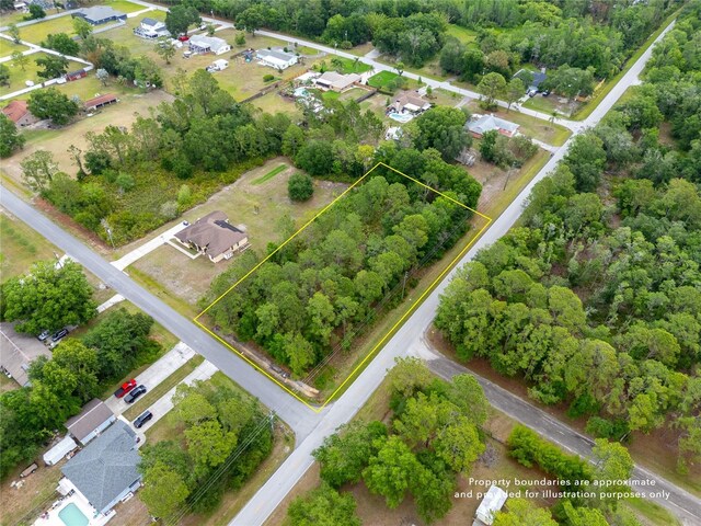 Pine Lands Dr, Wesley Chapel, FL 33544 - photo 7