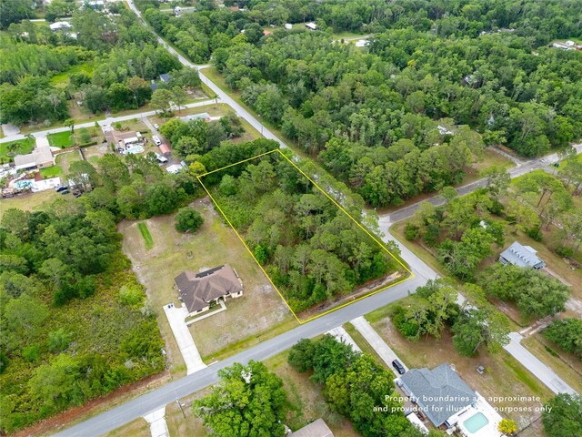 Pine Lands Dr, Wesley Chapel, FL 33544 - photo 8