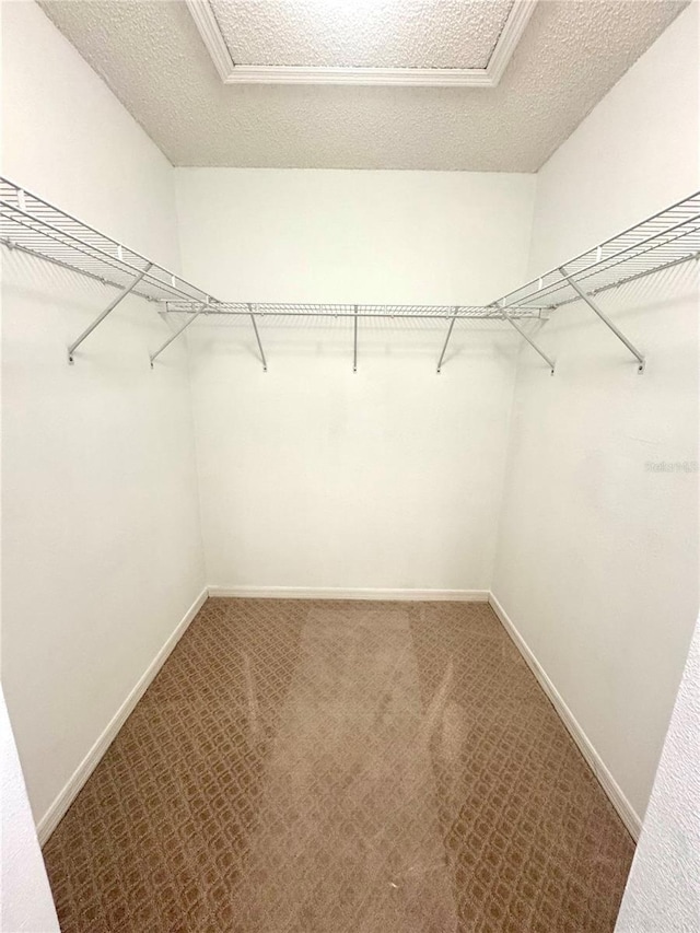 3181 Deltona Blvd, Spring Hill, FL 34606 - walk in closet with attic access and carpet