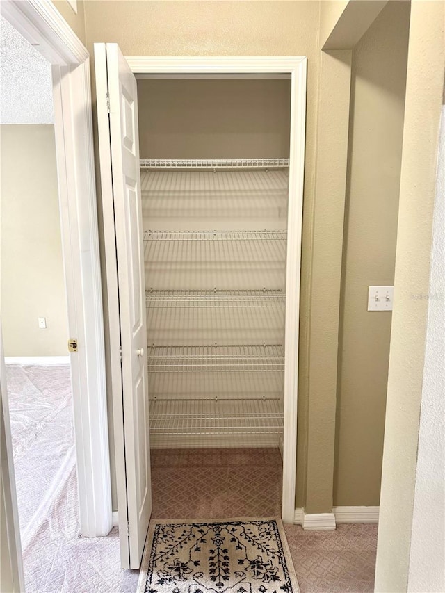 3181 Deltona Blvd, Spring Hill, FL 34606 - view of closet