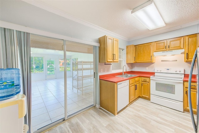 727 Kensington Lake Cir, Brandon, FL 33511 - photo 8
