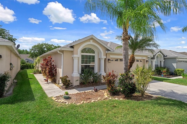 6303 Gentle Ben Cir, Wesley Chapel, FL 33544 - ranch-style home with a garage, stucco siding, a front yard, and concrete driveway