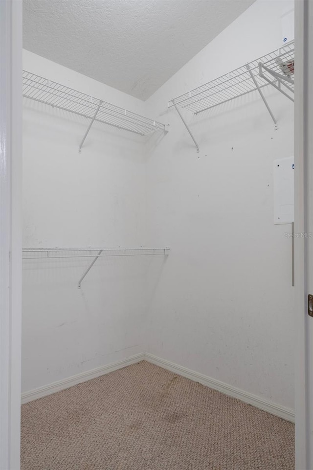 6303 Gentle Ben Cir, Wesley Chapel, FL 33544 - spacious closet featuring carpet