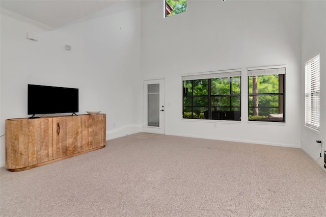 2173 Tuscany Trce Unit 8, Palm Harbor, FL 34683 - unfurnished living room with a high ceiling, carpet, and baseboards