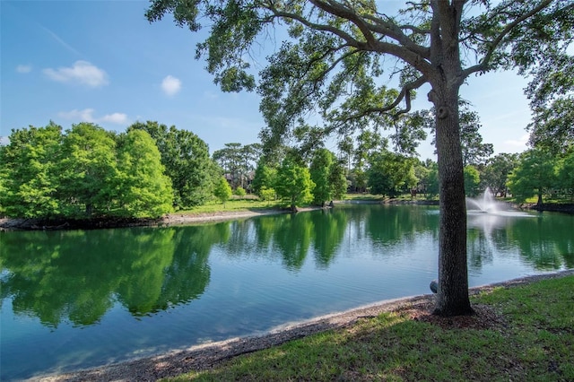 2173 Tuscany Trce Unit 8, Palm Harbor, FL 34683 - water view