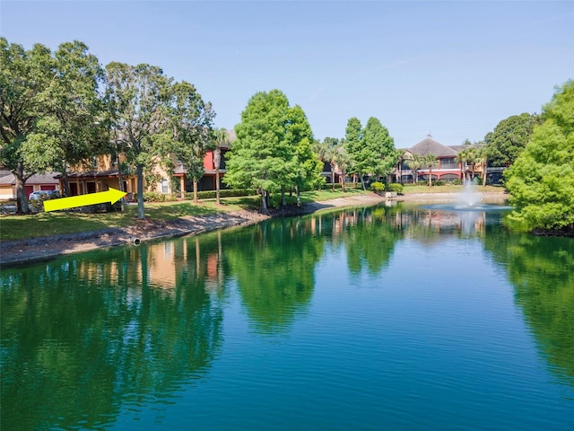 2173 Tuscany Trce Unit 8, Palm Harbor, FL 34683 - water view