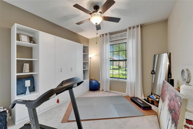 5646 Sunset Falls Dr, Apollo Beach, FL 33572 - workout room featuring ceiling fan, carpet flooring, and built in features