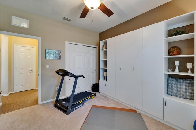 5646 Sunset Falls Dr, Apollo Beach, FL 33572 - workout room featuring carpet, a ceiling fan, and baseboards