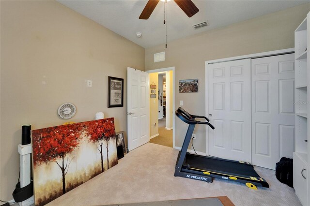 5646 Sunset Falls Dr, Apollo Beach, FL 33572 - workout area with carpet floors and ceiling fan