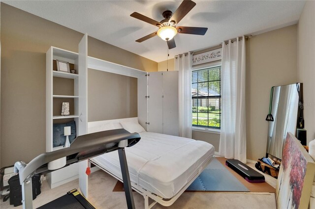 5646 Sunset Falls Dr, Apollo Beach, FL 33572 - bedroom with carpet floors, ceiling fan, and baseboards