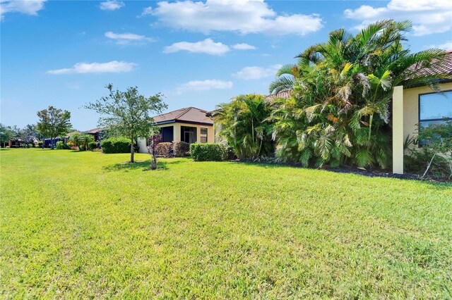 5646 Sunset Falls Dr, Apollo Beach, FL 33572 - view of grassy yard