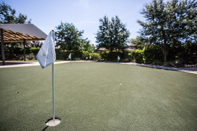 5646 Sunset Falls Dr, Apollo Beach, FL 33572 - view of yard with an area to practice putting
