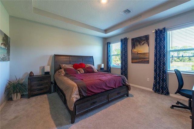 2247 Midnight Pearl Dr, Sarasota, FL 34240 - bedroom with a raised ceiling, carpet flooring, and baseboards