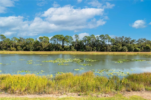 2247 Midnight Pearl Dr, Sarasota, FL 34240 - water view with a forest