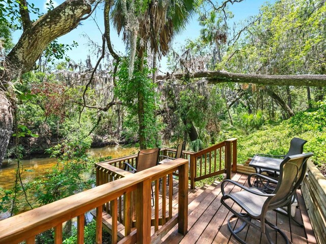 1141 Myrtle Rd, Valrico, FL 33596 - photo 3